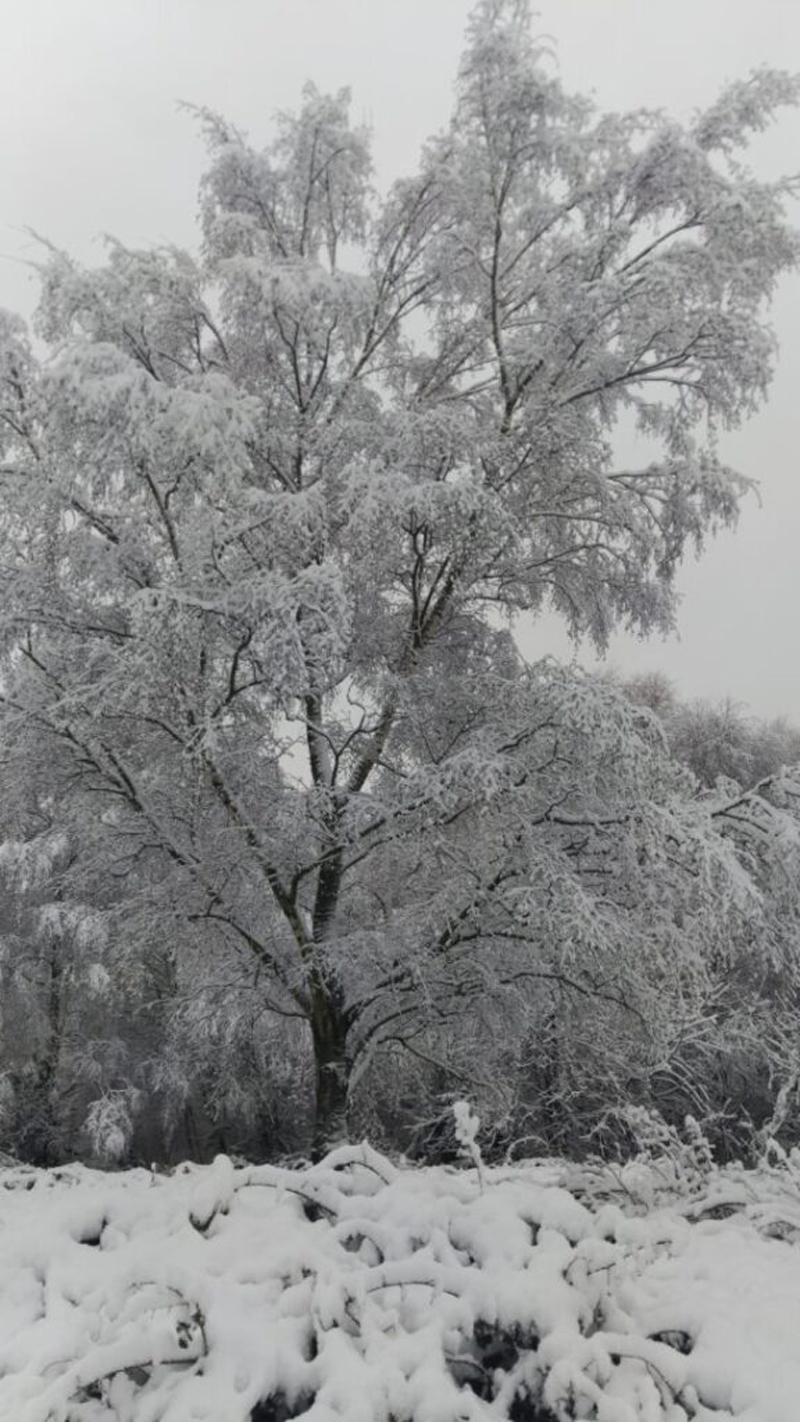Geschlossene Banken und fliegende Krankenschwestern